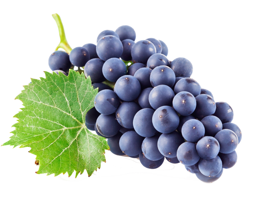 raisin noir 2 AZ France